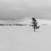2025-01-21_295596_WTA_R6m2-Pano Yellowstone - Day 1