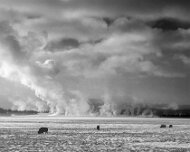 2025-01-22_296189_WTA_R6m2-Edit Yellowstone Day 2