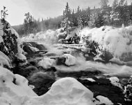 2025-01-22_296907_WTA_R5m2-Edit Yellowstone Day 2