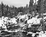 2025-01-22_296960_WTA_R5m2-Edit Yellowstone Day 2