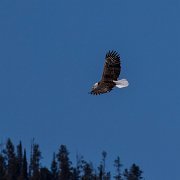 2024-04-20_377158_WTA_R5 2024 Road Trip - Day 19 - Afternoon Grand Teton National Park Jackson, Wyoming